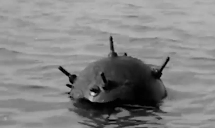Naval mines