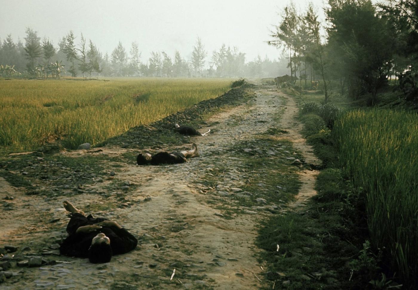 Vietnamese dead 